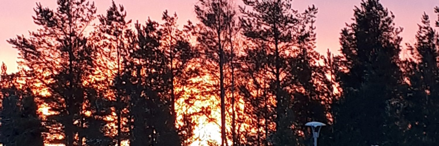 Talvinen auringonlasku puiden taakse