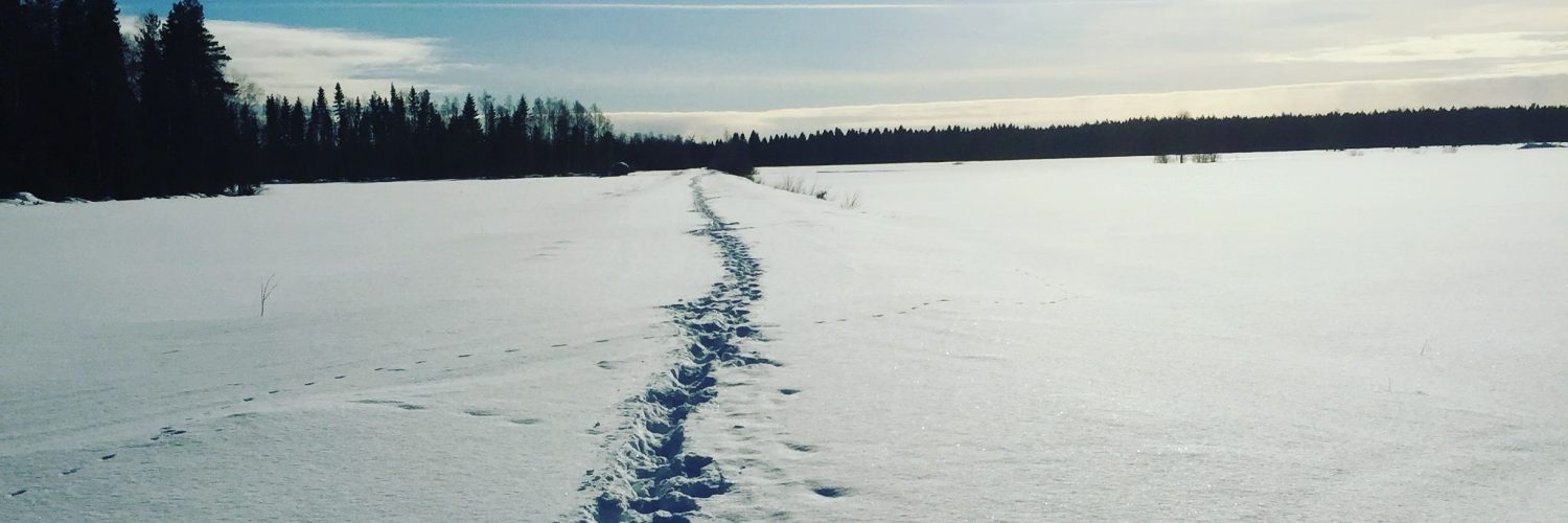 jälkiä hangella