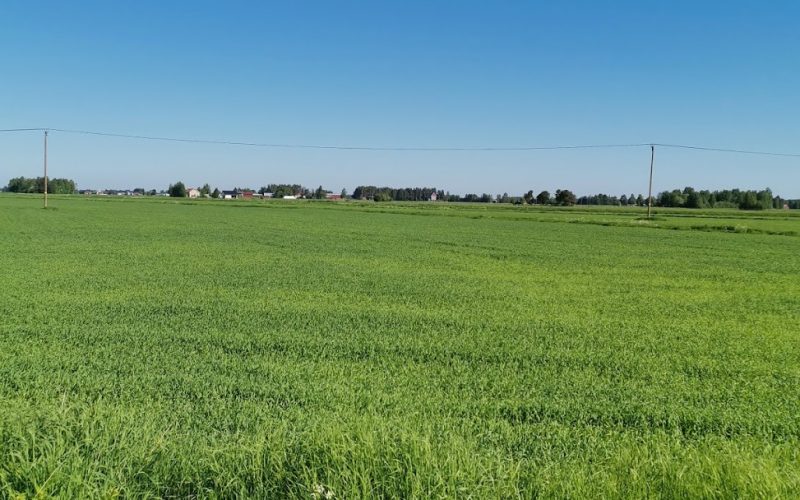 Yhteystiedot Lumijoki