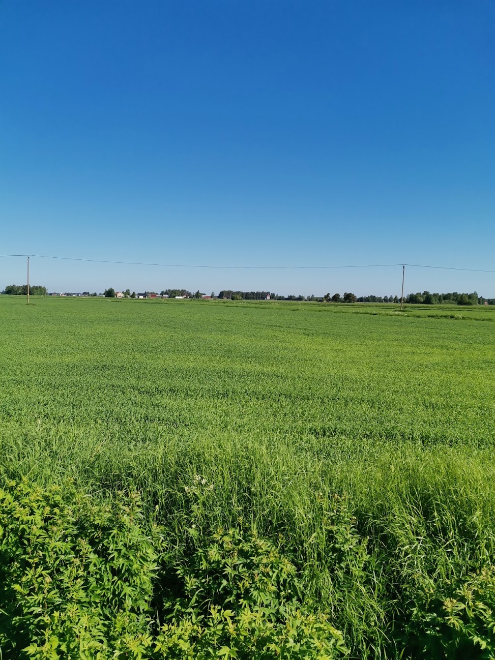 Yhteystiedot Lumijoki