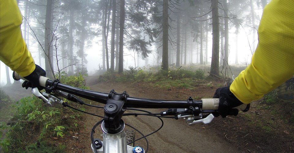 polkupyörä metsässä