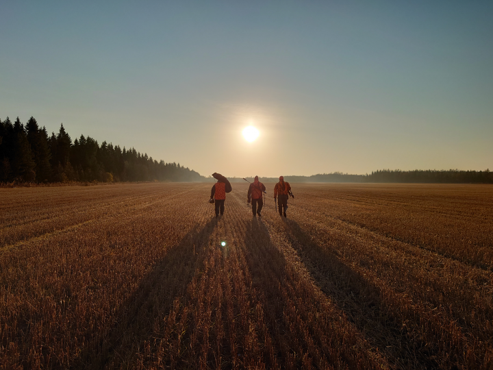 metsästäjät pellolla